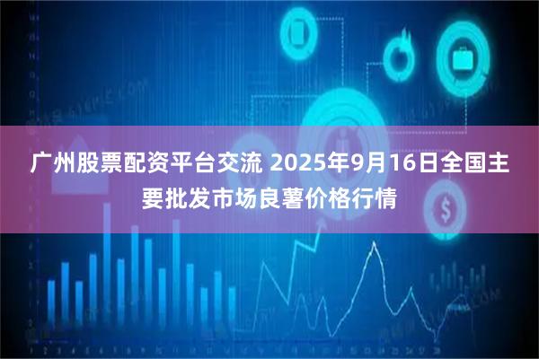 广州股票配资平台交流 2025年9月16日全国主要批发市场良薯价格行情